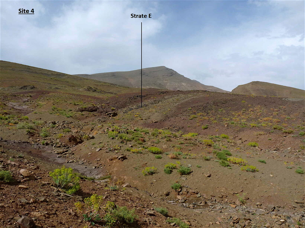 4e_1._p1220735.jpg 4e_1._p1220735.jpg