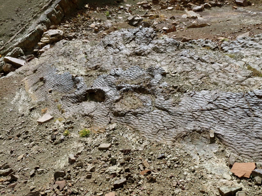 4e_3._p1220737.jpg 4e_3._p1220737.jpg