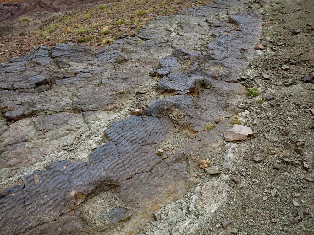 4e_4._p1210910.jpg 4e_4._p1210910.jpg