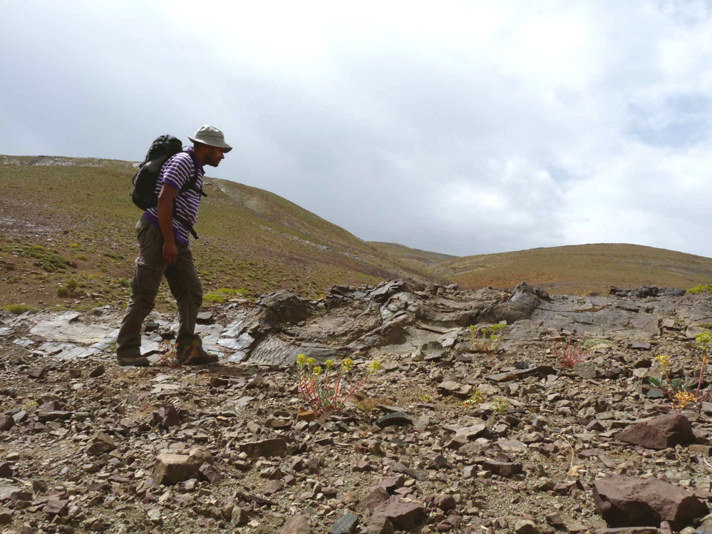 4e_5._p1220722.jpg 4e_5._p1220722.jpg