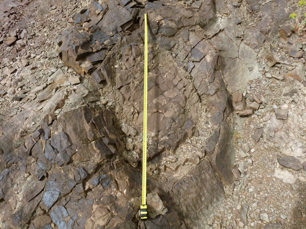 4e_6._p1220709.jpg 4e_6._p1220709.jpg