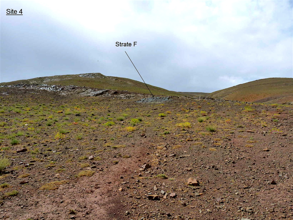 4f_1._p1220734.jpg 4f_1._p1220734.jpg