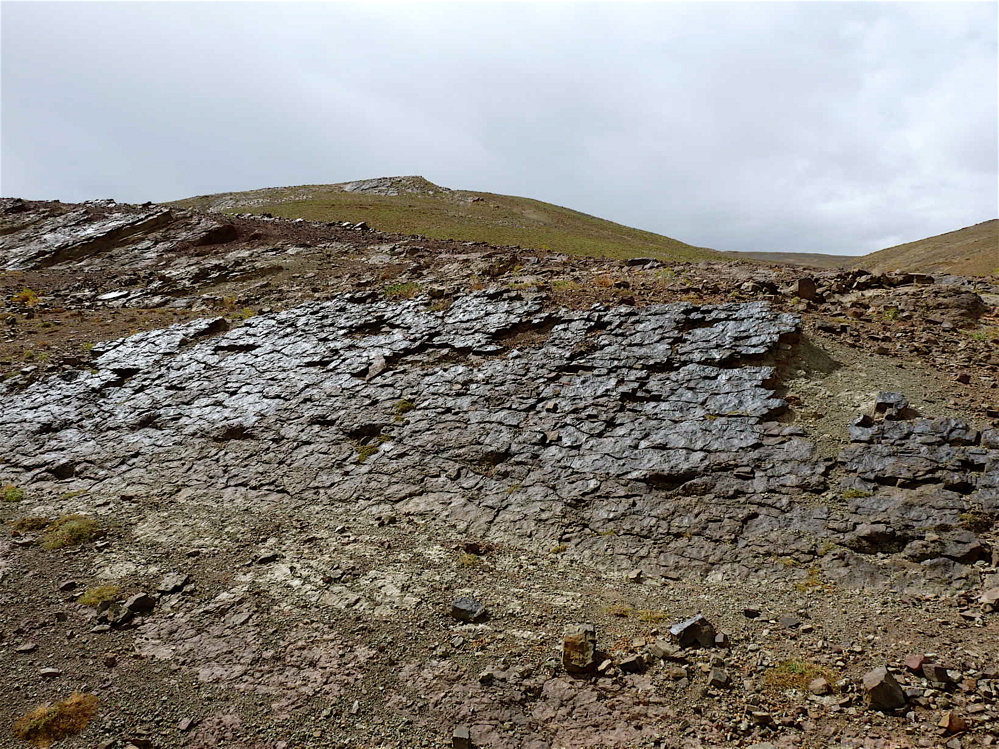 4f_2._p1220728.jpg 4f_2._p1220728.jpg