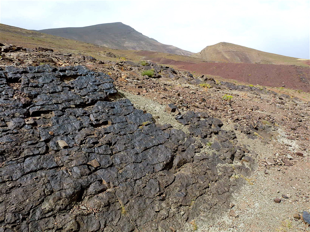 4f_3._p1220731.jpg 4f_3._p1220731.jpg