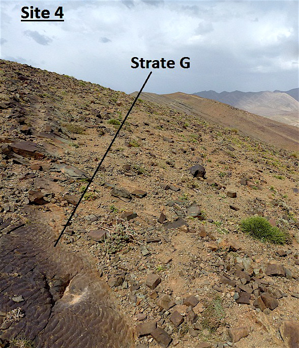 4g_1._p1220775.jpg 4g_1._p1220775.jpg