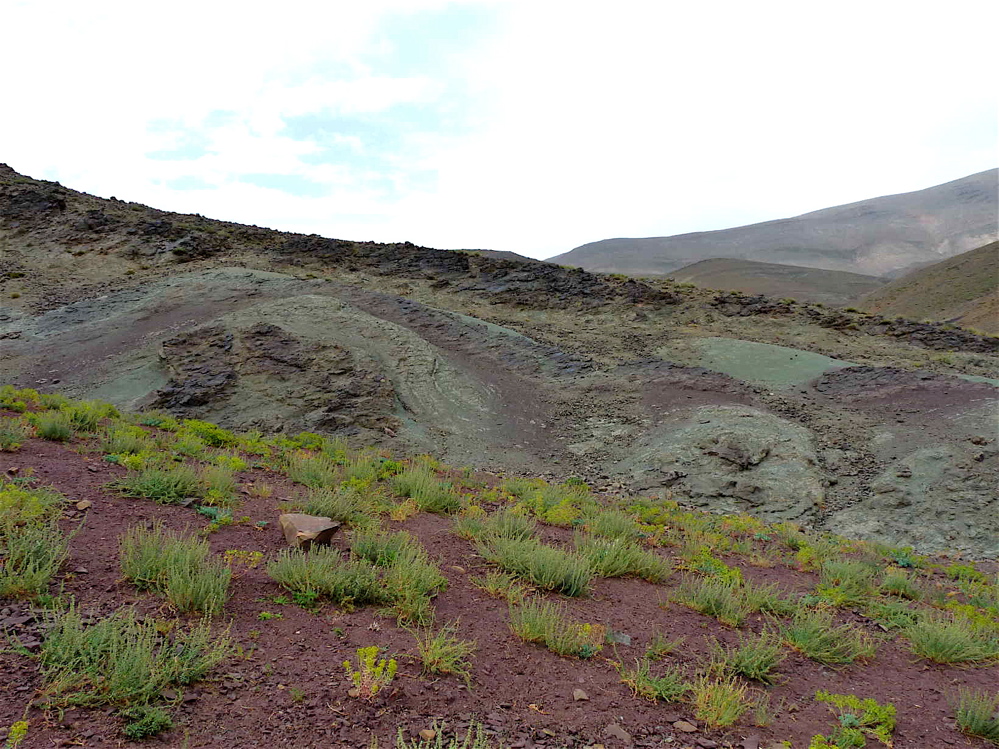 4h_1._p1220700.jpg 4h_1._p1220700.jpg