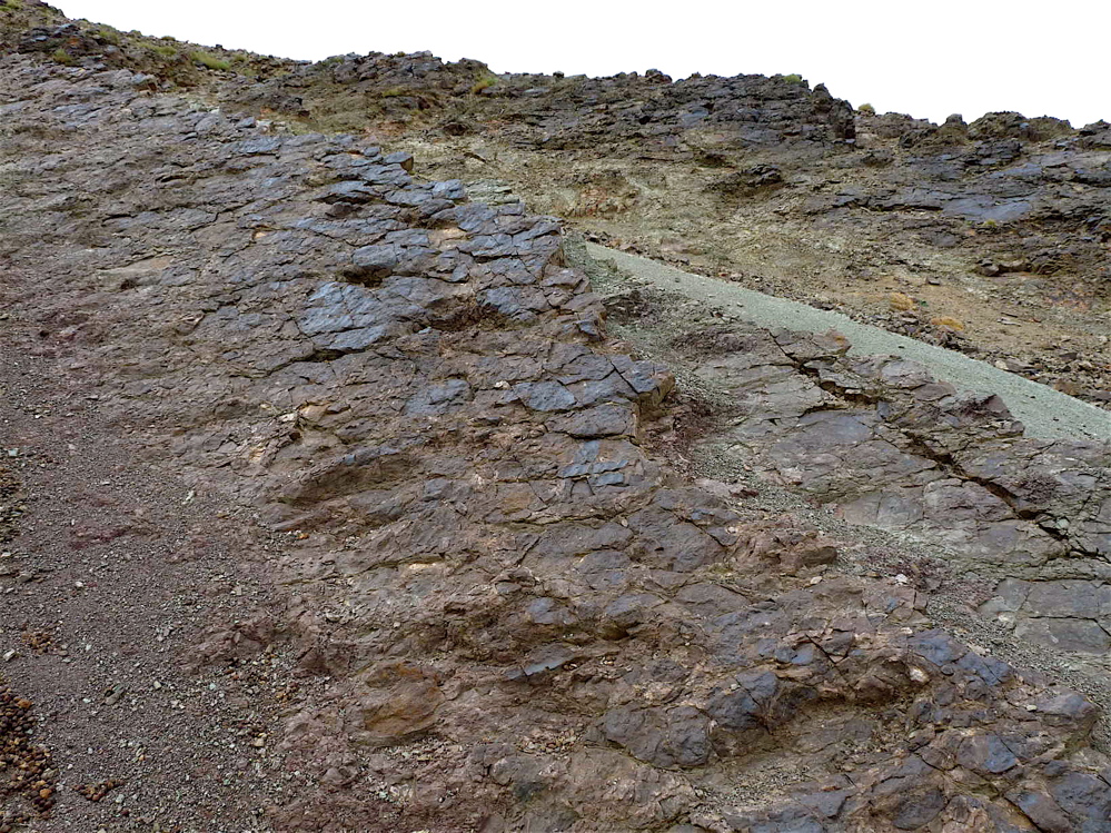 4h_2._p1220701.jpg 4h_2._p1220701.jpg