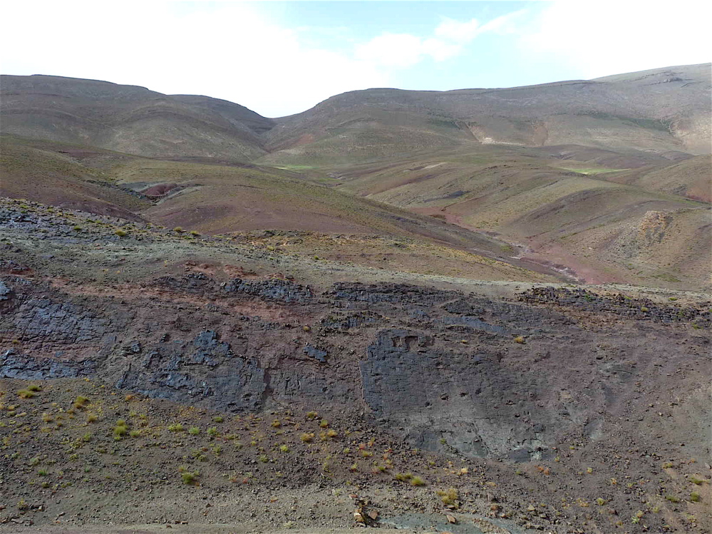 4i_1._p1220789.jpg 4i_1._p1220789.jpg