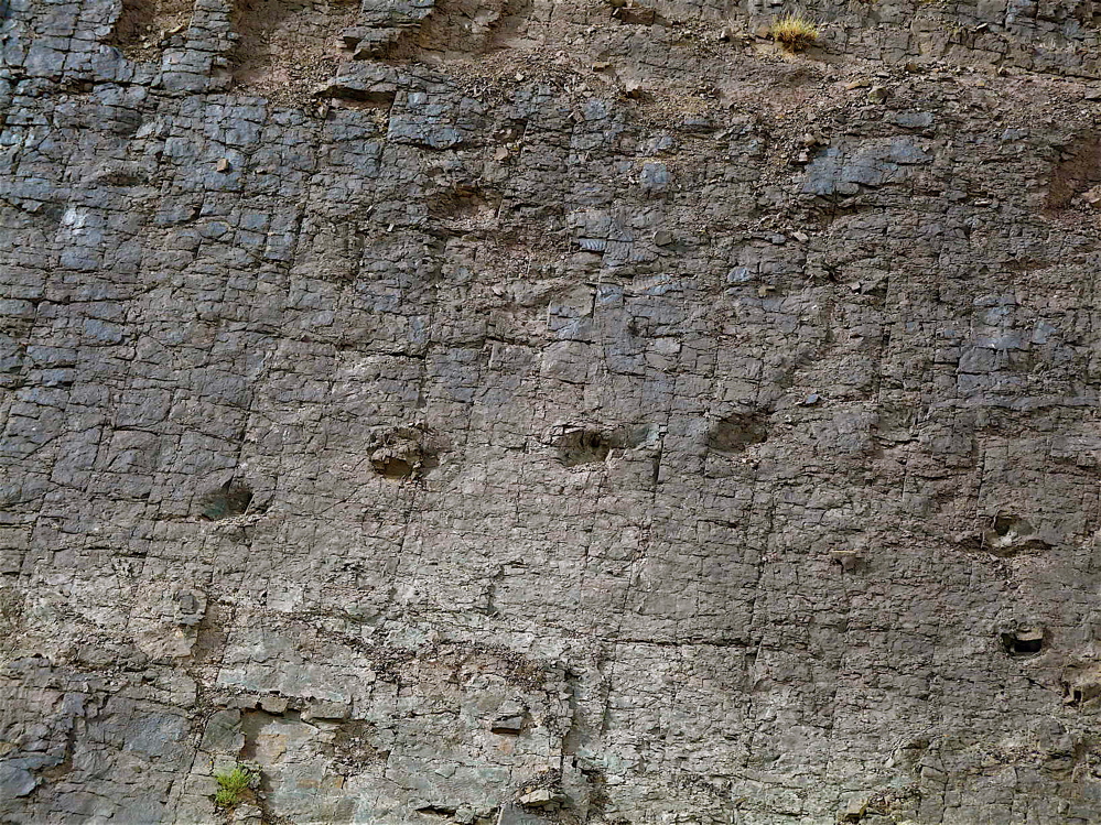 4i_2._p1220792.jpg 4i_2._p1220792.jpg