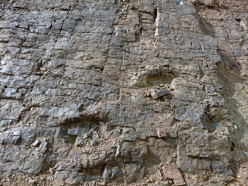 4i_3._p1220793.jpg 4i_3._p1220793.jpg