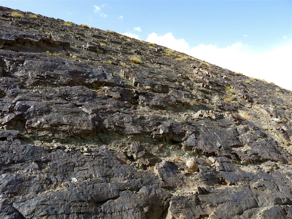 4j_1._p1220805.jpg 4j_1._p1220805.jpg