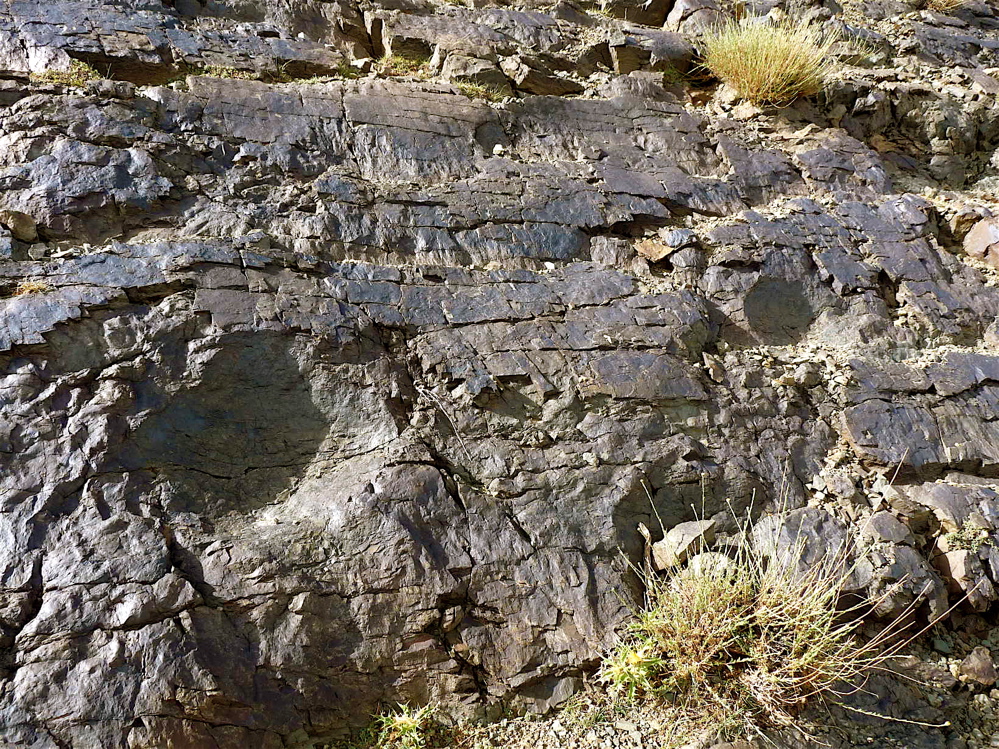 4j_2._p1220808.jpg 4j_2._p1220808.jpg