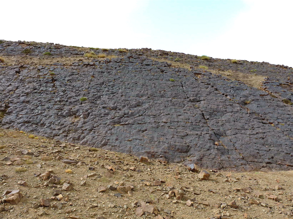 4k_1._p1220780.jpg 4k_1._p1220780.jpg