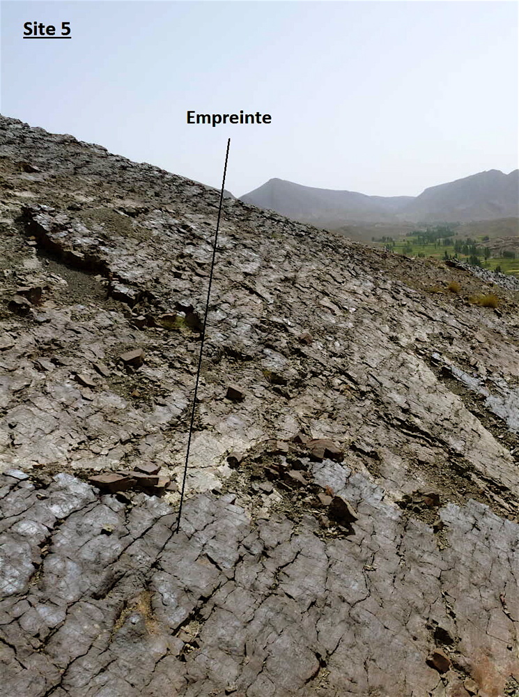 5a_1._p1220958.jpg 5a_1._p1220958.jpg