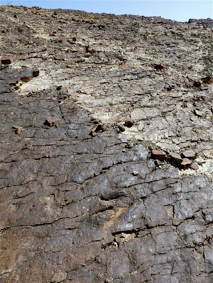 5a_2._p1220954.jpg 5a_2._p1220954.jpg