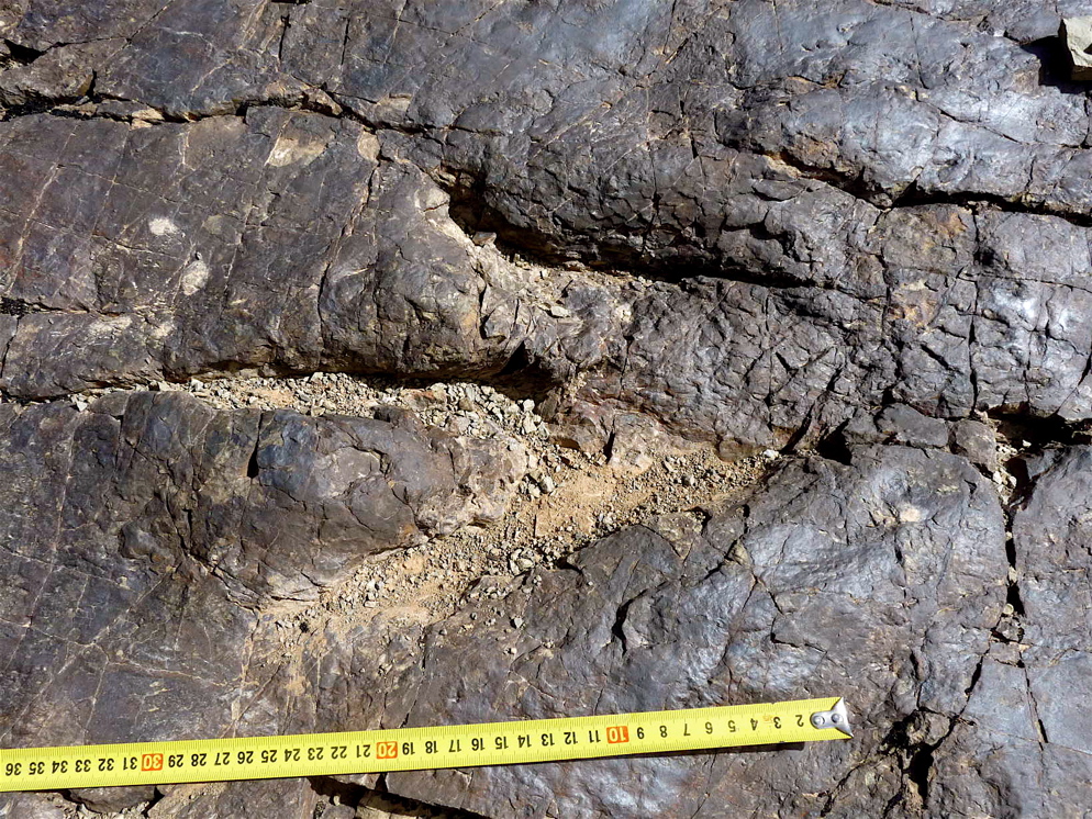 5a_3._p1220953.jpg 5a_3._p1220953.jpg