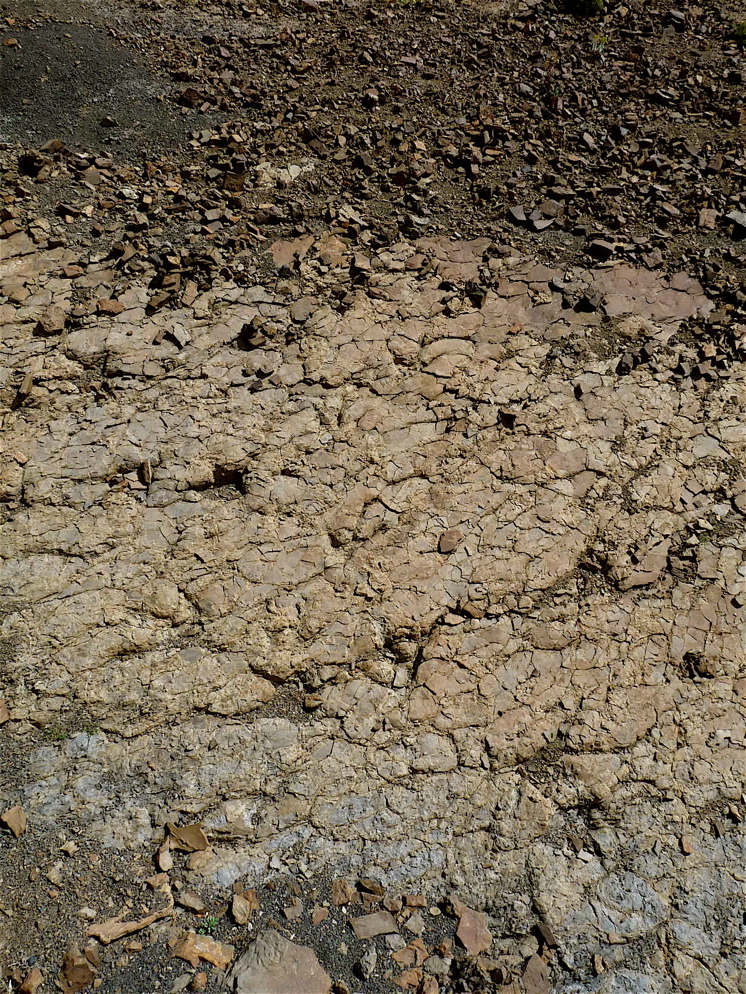 5b_2._p1220981.jpg 5b_2._p1220981.jpg