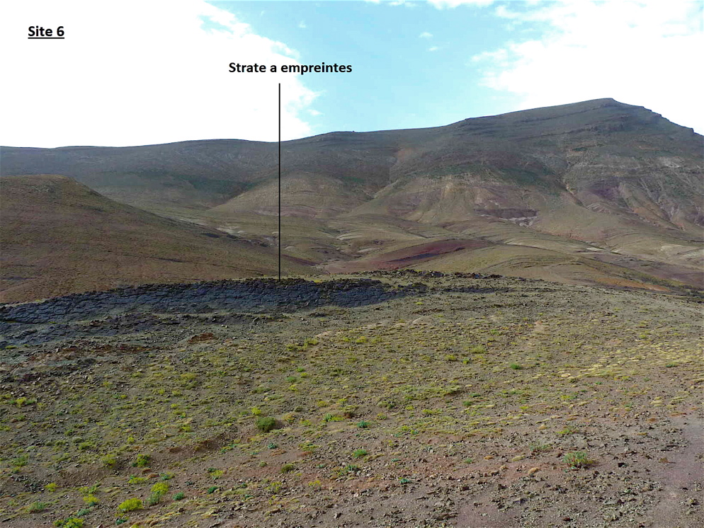 6_1._p1220887.jpg 6_1._p1220887.jpg