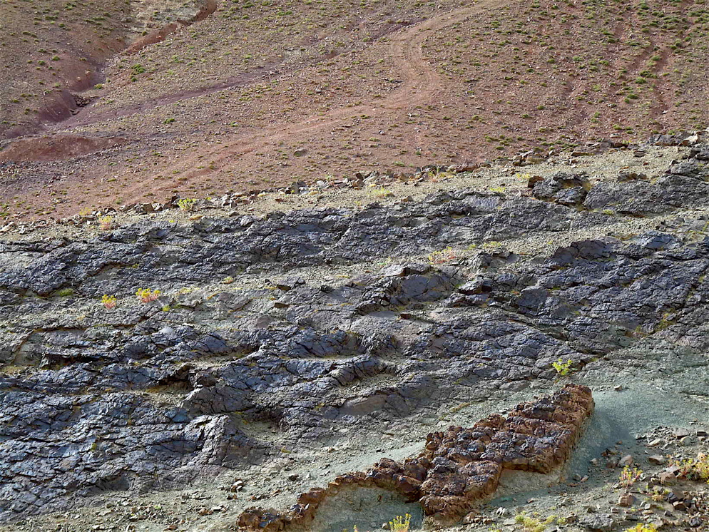 6_2._p1220890.jpg 6_2._p1220890.jpg