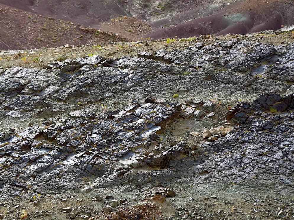 6_4._p1220891.jpg 6_4._p1220891.jpg