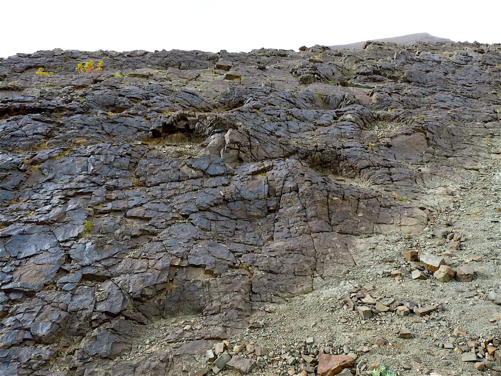 6_6._p1220876.jpg 6_6._p1220876.jpg