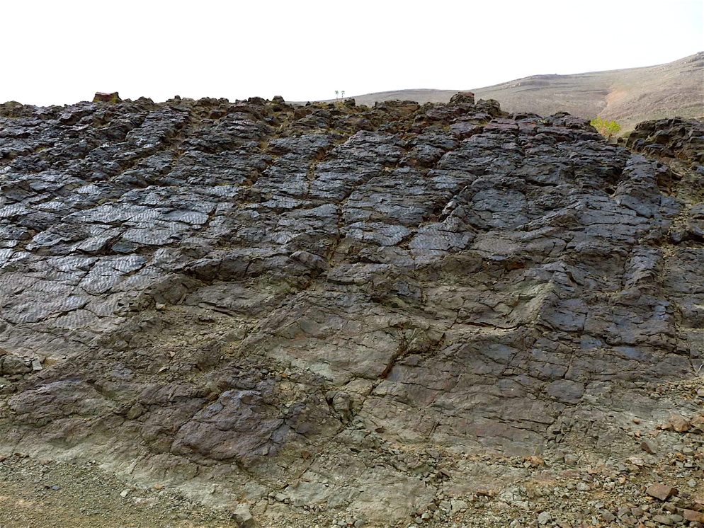 6_7._p1220855.jpg 6_7._p1220855.jpg