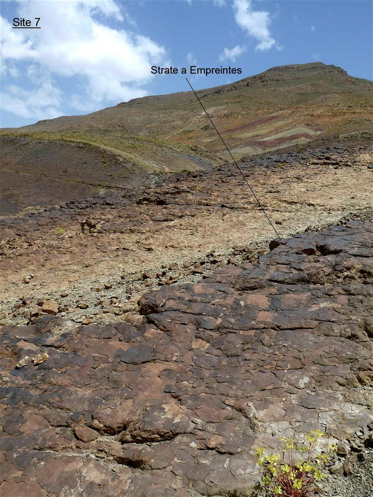 7_1._p1230024.jpg 7_1._p1230024.jpg