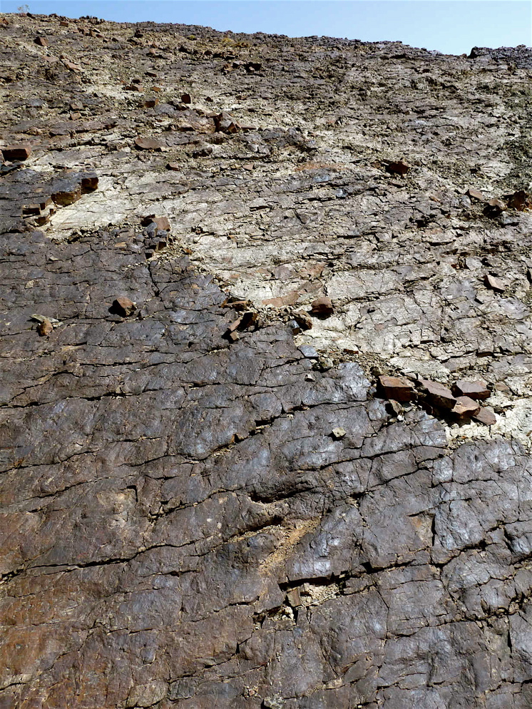 7_2._p1220954.jpg 7_2._p1220954.jpg