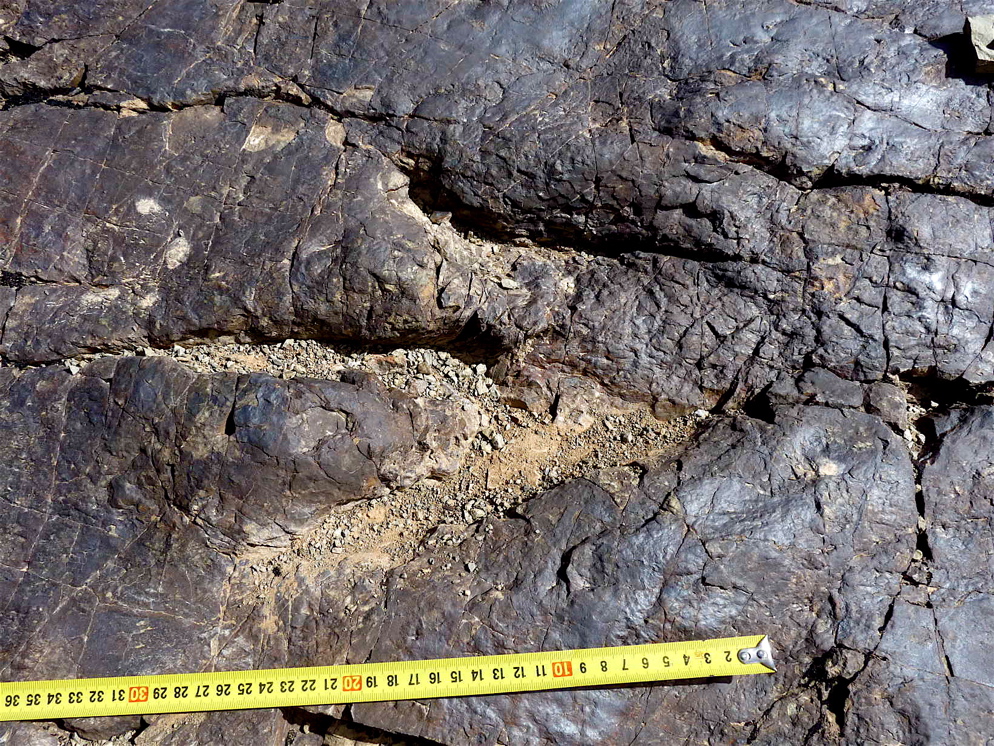 7_3._p1220953.jpg 7_3._p1220953.jpg