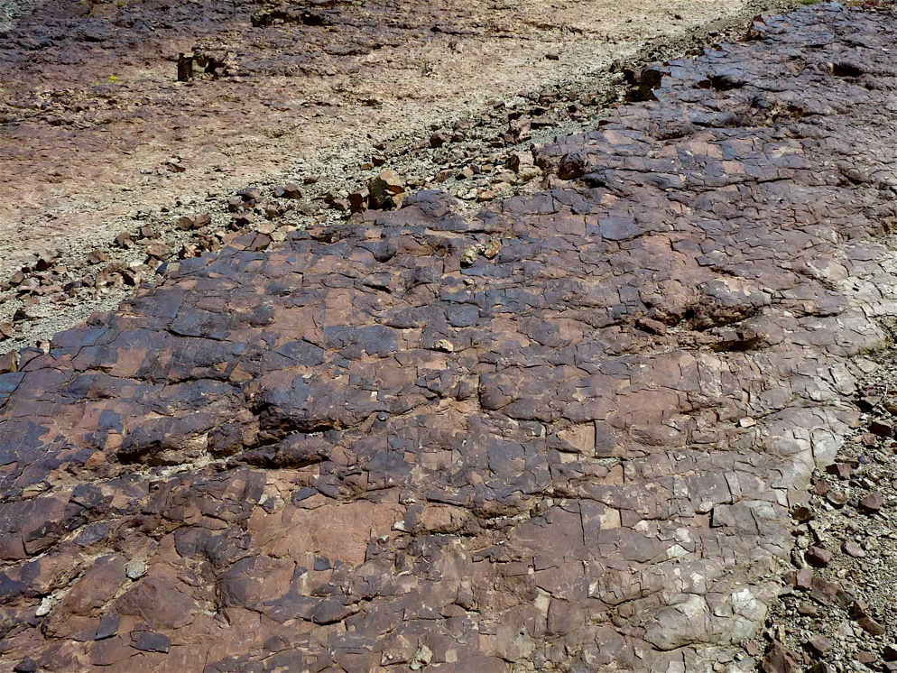 7_4._p1230021.jpg 7_4._p1230021.jpg