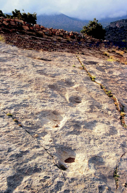 Ibaqalliwn ibakaliouine11.jpg