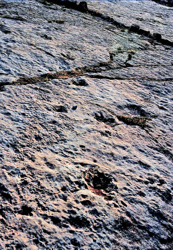 Ibaqalliwn ibakaliouine12.jpg