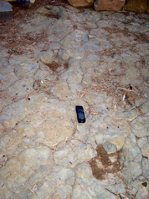 Assif Sabouchene sabouchene-03.jpg