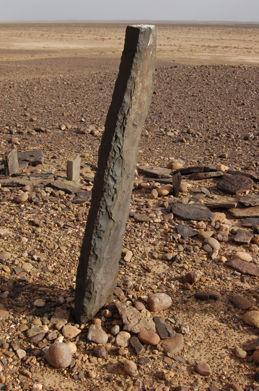 dsc_0089.jpg dsc_0089.jpg