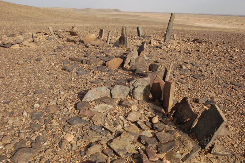 dsc_0091.jpg dsc_0091.jpg