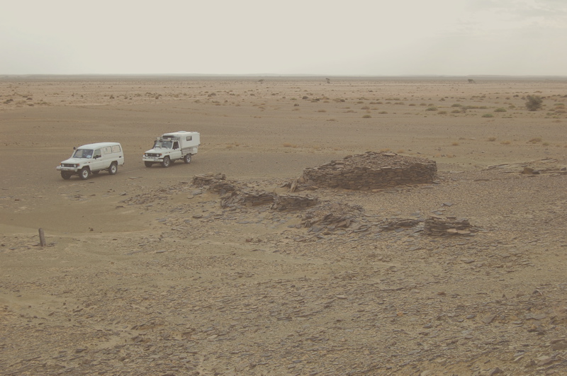 dsc_0092.jpg dsc_0092.jpg