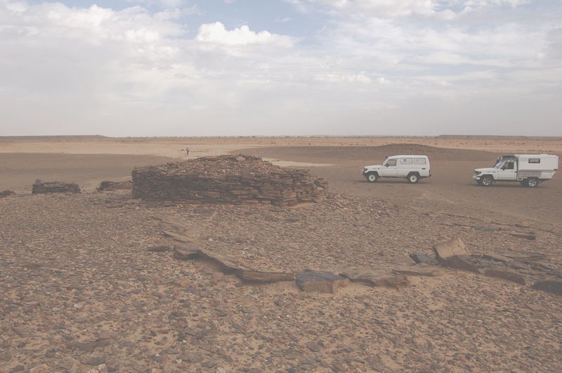 dsc_0094.jpg dsc_0094.jpg