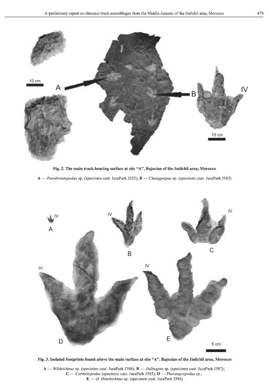 imilchil_anglais_3.jpg imilchil_anglais_3.jpg