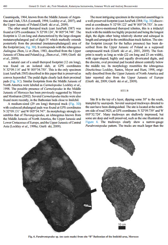 imilchil_anglais_4.jpg imilchil_anglais_4.jpg