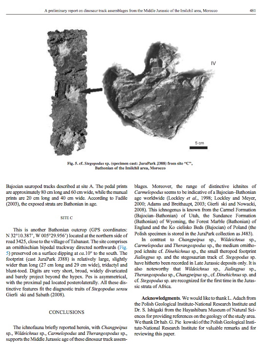 imilchil_anglais_5.jpg imilchil_anglais_5.jpg