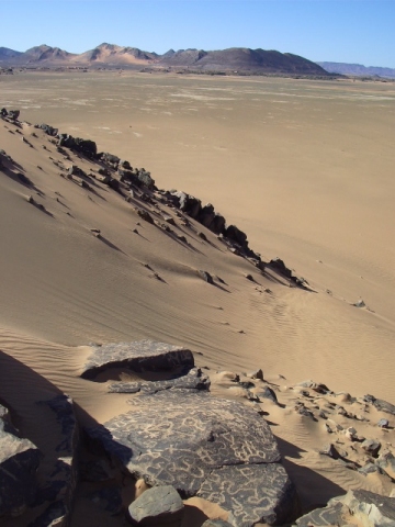 jdad_1.jpg jdad_1.jpg