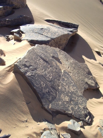 jdad_2.jpg jdad_2.jpg