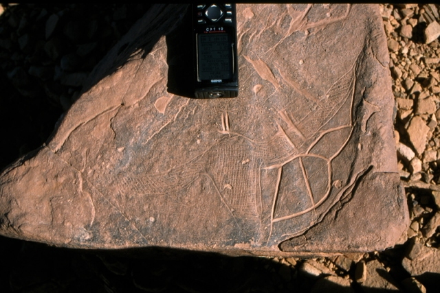 lghola_1.jpg lghola_1.jpg