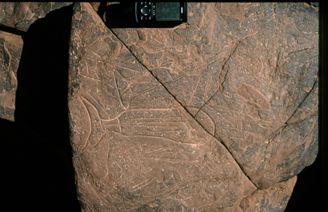 lghola_3.jpg lghola_3.jpg