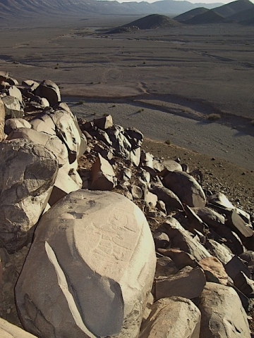 metgourine_1.jpg metgourine_1.jpg