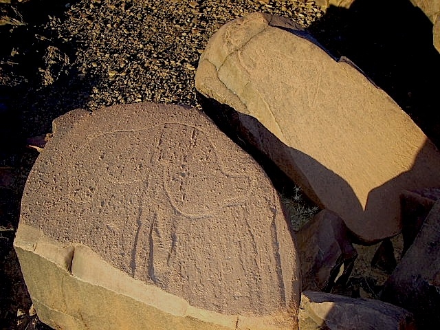 metgourine_10.jpg metgourine_10.jpg