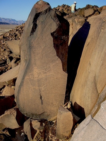 metgourine_2.jpg metgourine_2.jpg