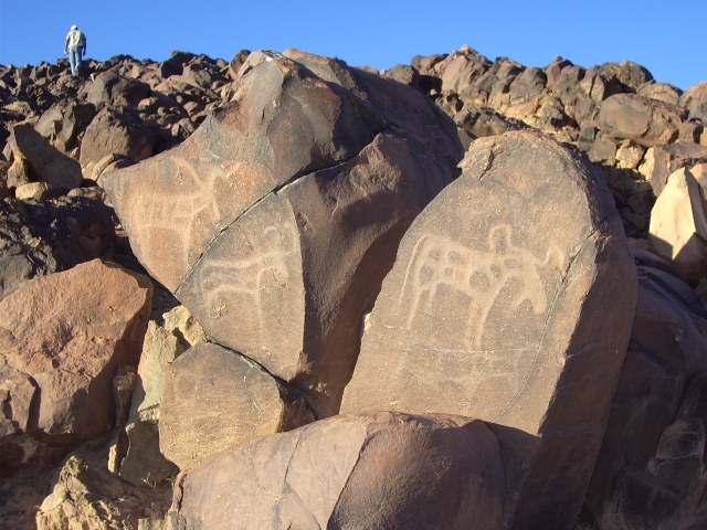 metgourine_3.jpg metgourine_3.jpg