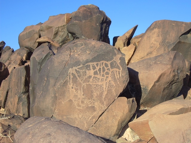 metgourine_4.jpg metgourine_4.jpg