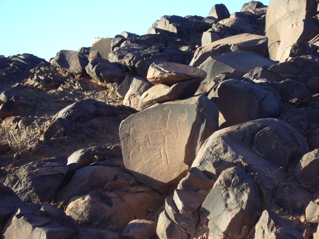 metgourine_5.jpg metgourine_5.jpg